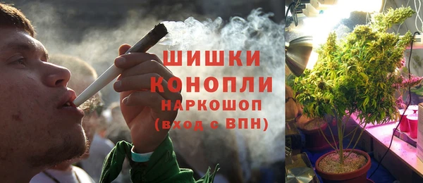 сатива Алексеевка