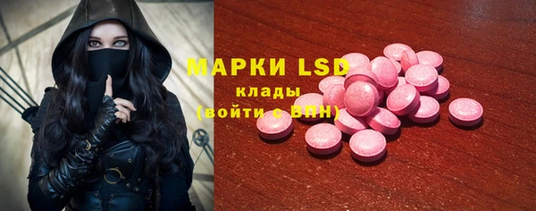 ГАЛЛЮЦИНОГЕННЫЕ ГРИБЫ Алексин