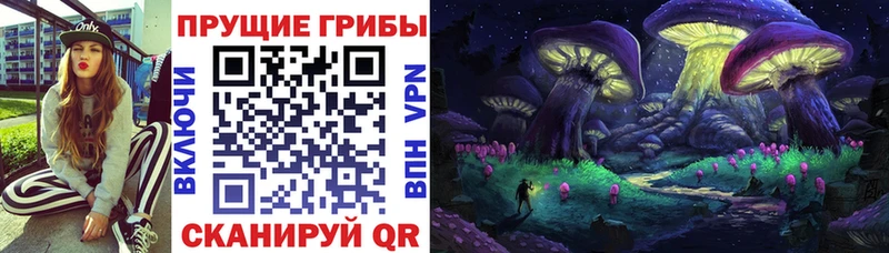 Псилоцибиновые грибы мухоморы  Луза 
